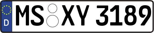 MS-XY3189