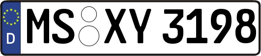MS-XY3198