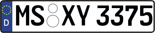 MS-XY3375