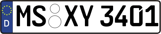 MS-XY3401
