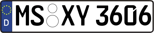 MS-XY3606