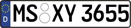 MS-XY3655