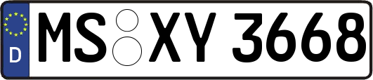 MS-XY3668