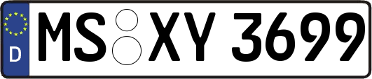 MS-XY3699