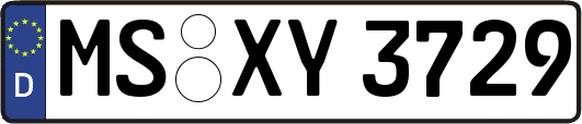 MS-XY3729