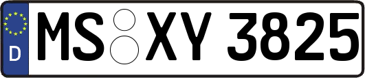 MS-XY3825