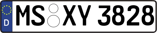 MS-XY3828