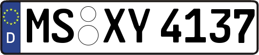 MS-XY4137