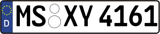 MS-XY4161
