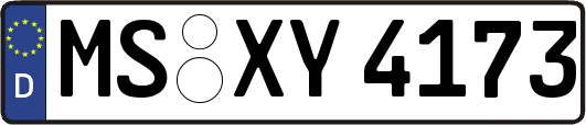 MS-XY4173