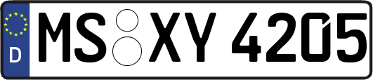 MS-XY4205