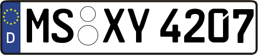 MS-XY4207