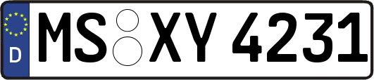 MS-XY4231
