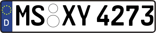 MS-XY4273