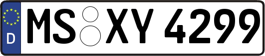 MS-XY4299