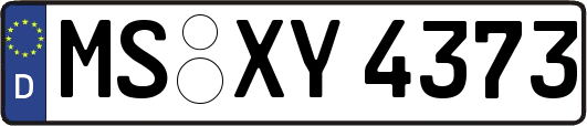 MS-XY4373