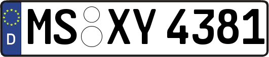 MS-XY4381