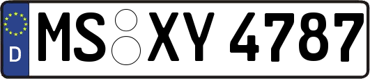 MS-XY4787