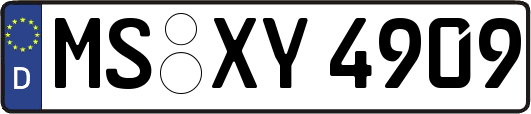 MS-XY4909