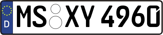 MS-XY4960