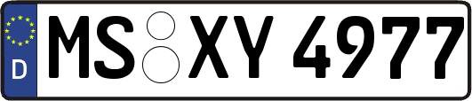 MS-XY4977