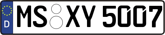 MS-XY5007