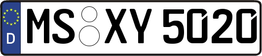 MS-XY5020