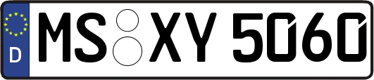 MS-XY5060