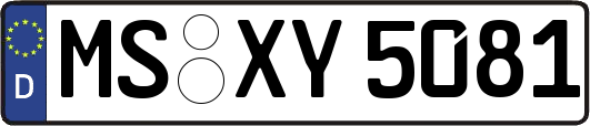 MS-XY5081