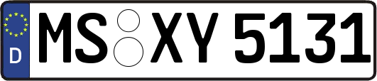 MS-XY5131