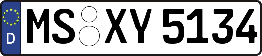 MS-XY5134