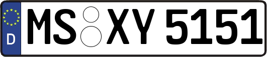 MS-XY5151