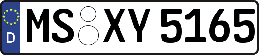 MS-XY5165