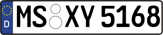 MS-XY5168