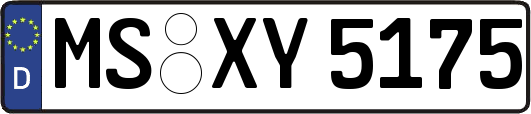 MS-XY5175