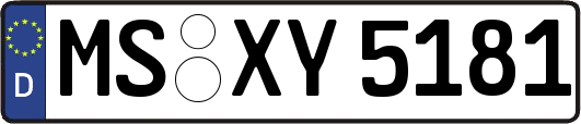 MS-XY5181