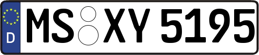 MS-XY5195