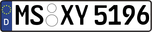 MS-XY5196