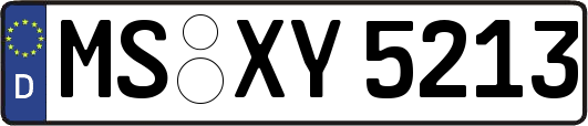 MS-XY5213