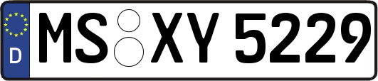 MS-XY5229