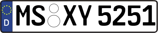 MS-XY5251