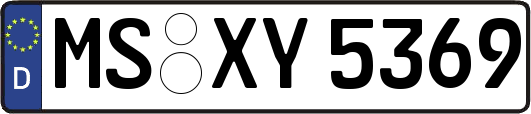 MS-XY5369