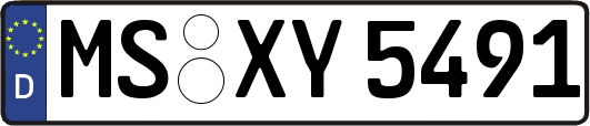 MS-XY5491