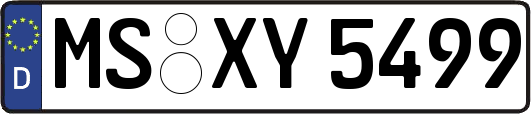 MS-XY5499