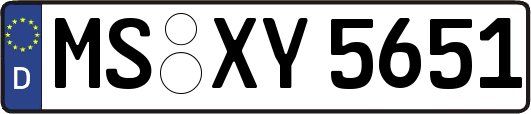 MS-XY5651