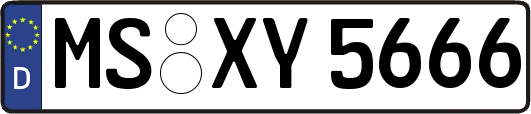 MS-XY5666