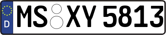 MS-XY5813