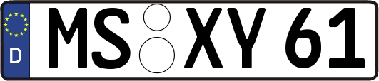 MS-XY61