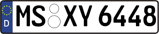 MS-XY6448