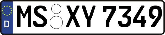 MS-XY7349